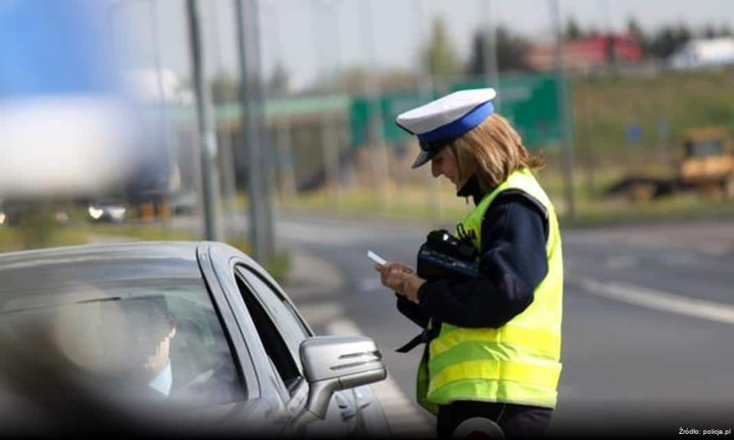 Uwaga na dzikie zwierzęta na drodze – kierowcy muszą zachować ostrożność